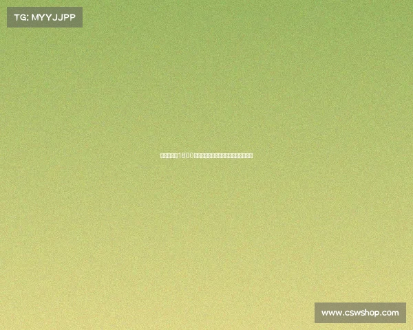 西汉姆联以1800万镑转会费签下莱斯特城门将赫尔曼森